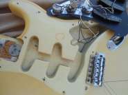 F.strat79 b-1.jpg