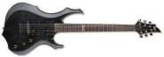 esp ltd.jpg