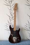 Godin_1.jpg