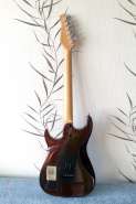 Godin_3.jpg
