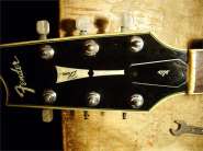 F.Robben Ford_83-1.jpg