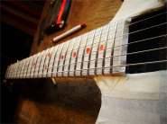 F.Robben Ford_83-22.jpg