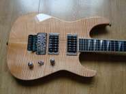 Jackson SL2H MAH USA 011.jpg