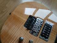Jackson SL2H MAH USA 016.jpg