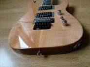Jackson SL2H MAH USA 018.jpg