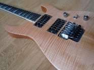 Jackson SL2H MAH USA 019.jpg