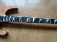 Jackson SL2H MAH USA 020.jpg