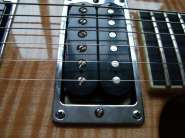 Jackson SL2H MAH USA 023.jpg