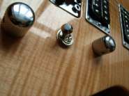 Jackson SL2H MAH USA 025.jpg