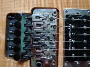 Jackson SL2H MAH USA 026.jpg