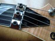 Jackson SL2H MAH USA 027.jpg
