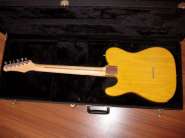 Hamer T-51 5.jpg