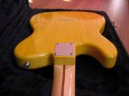 Hamer T-51 7.jpg