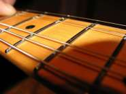 IMG_1530_1.jpg