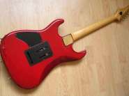 Schecter Nevada Back.jpg