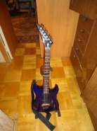DSC01435.jpg