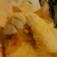 ��� �����.jpg