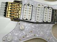 z090708jemwhitepickups.jpg