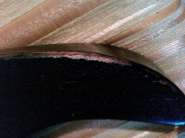 IMG0102A.jpg