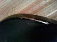 IMG0103A.jpg