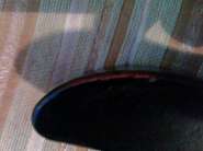 IMG0104A.jpg