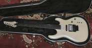 carvin1.jpg
