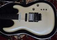 carvin3.jpg