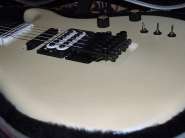 carvin4.jpg