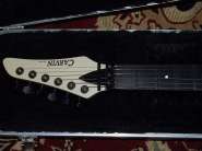 carvin5.jpg