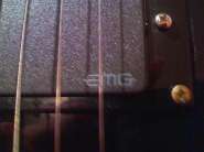 IMG785.jpg