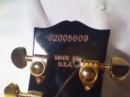 IMG821.jpg