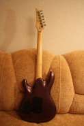 Ibanez ergodyne EDR 470 293596-6