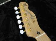 fender-artist-signature-richie-kotzen-telecaster-surf-green-545054.jpg