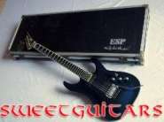 ESP Custom_1.jpg