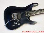 ESP Custom_2.jpg