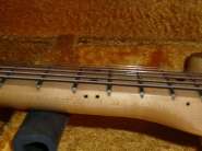 CIMG9137.jpg