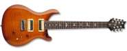 SE-Custom-24-7-String-900a.jpg