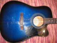 GIBSON CS 043.jpg
