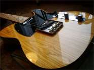 F.Tele CS_2011-3.jpg