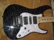 Schecter.jpg
