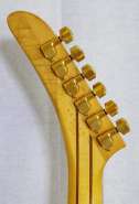 gibson-explorer_hsb.jpg