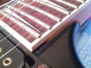 IMG877.jpg