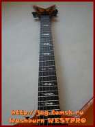 washburn_westpro_7.jpg