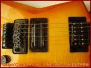 washburn_westpro_9.jpg