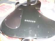 DSC02409.jpg