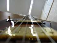SAM_1225.jpg