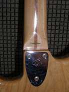 fender st 71 007.jpg