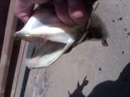 IMG00062-20140405-1335.jpg
