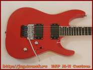 esp_m-ii_custom_2.jpg