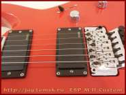 esp_m-ii_custom_7.jpg